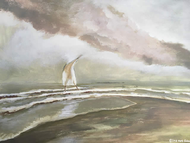 Mark Elvins, artist and illustrator