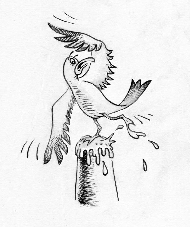The Ghost of Scarletbeard - Seagull